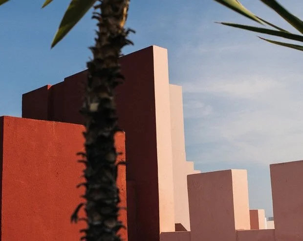 Living coral: