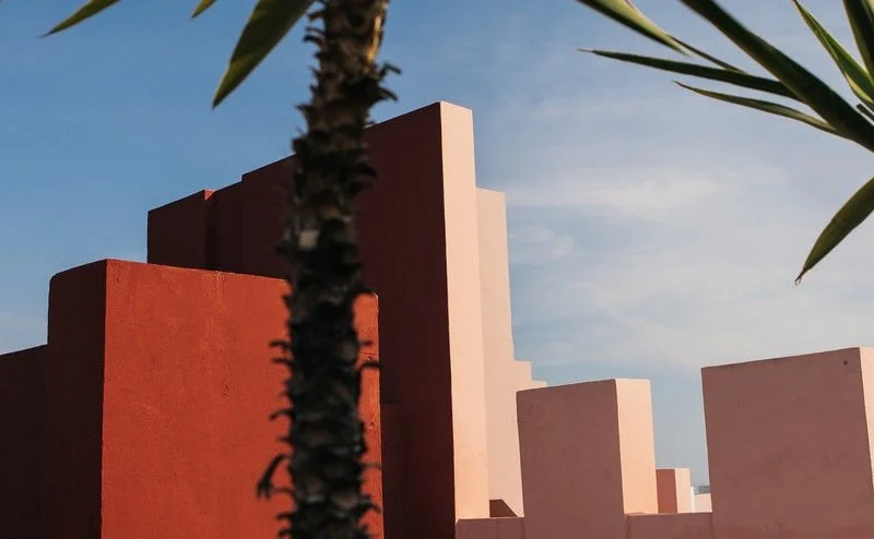 Living coral: